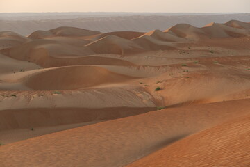 Fototapeta na wymiar Beautiful sandy desert in Oman
