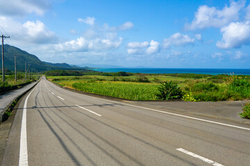 Fototapeta premium 石垣島の風景（平久保半島）