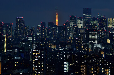 Fototapeta na wymiar 東京タワーと東京の夜景