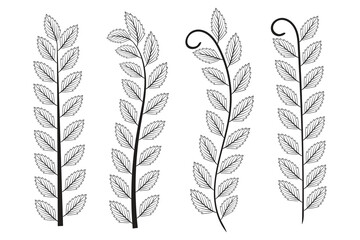 Hand-drawn doodle olive tree branches autumn leaves, vintage Laurel Wreath leafs, flora symbol decorative stem, Botanical branch and leaves, design element forest and plant, vector illustration 
