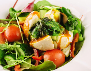 Burrata salad with seaweed, cucumbers and tomatoes