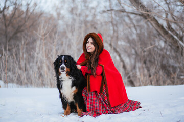 Naklejka na ściany i meble A young woman in medieval clothes in winter in the forest sits on the snow with dogs of the Bernese Mountain Dog breed.