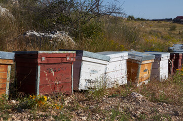 Colorful beehives in the middle of the Alcarria countryside