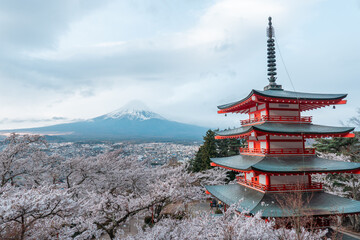 Chureito Pagoda with sakura and beautiful Mt.Fuji view