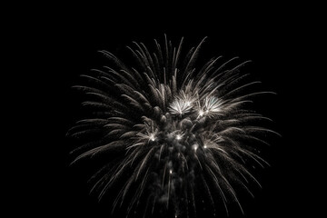 New year fireworks isolated on black background backdrop, black and white