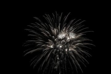 Fototapeta premium New year fireworks isolated on black background backdrop, black and white
