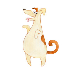 Watercolor drawing. Funny dog â€‹â€‹on its hind legs
