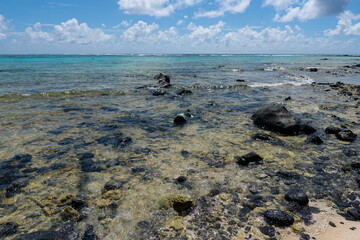 beach and sea and rocks