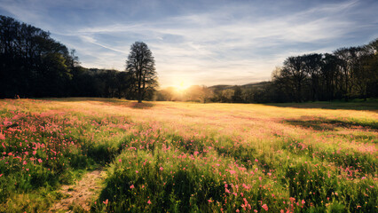 field of grass and sunset generative ai