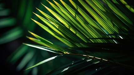 Obraz na płótnie Canvas Palms in Detail, A Close-up of Lush Green Foliage. Generative ai