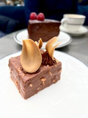 chocolate cake with hazelnuts on table