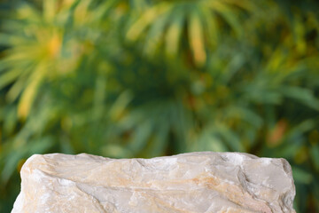 Stone podium tabletop floor on grass outdoors blur green leaf tropical forest plant nature background.Beauty cosmetic natural product placement pedestal display,jungle summer concept...