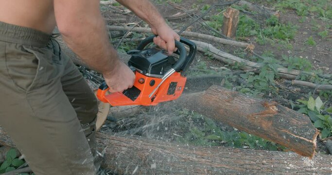 man using chainsaw for cutting a log in slow motion with saw dust flying in the backlit sun. closeup cropped video