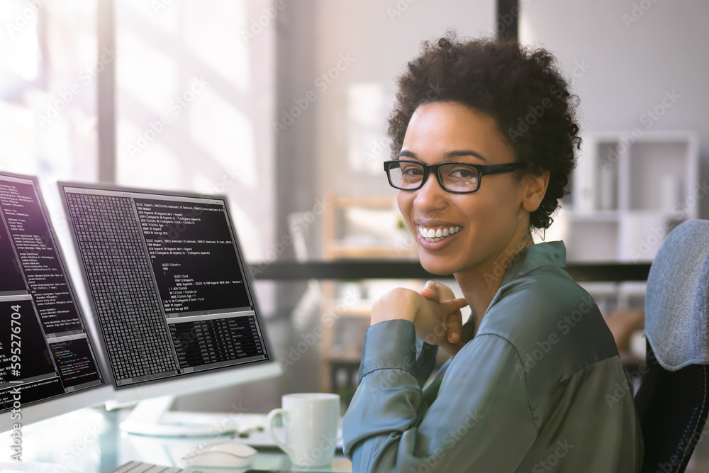 Poster Programmer Coding Classes. Web Developer Coder
