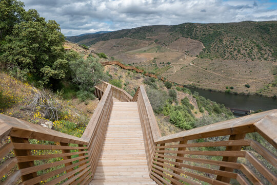 Entre montanhas os Passadi&ccedil;os do C&ocirc;a, estrutura em madeira com o cumprimento de 930 de extens&atilde;o e 890 degraus, com o rio Douro ao fundo em Foz C&ocirc;a, Portugal num dia nublado
