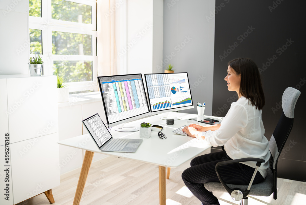 Poster analyst working with spreadsheet business data