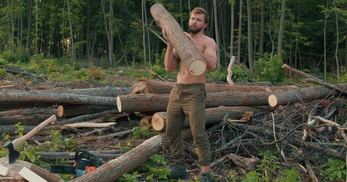 man cleaning forest from fallen cut trees, wood nature environment soft focus, slow motion, guy holding a log tree trunk picking up or putting down in yard