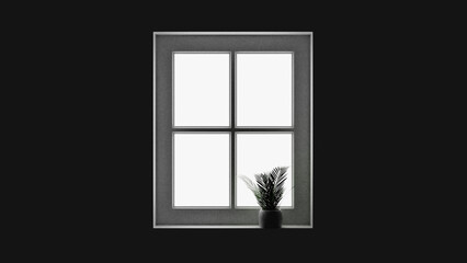 window in the dark with plant