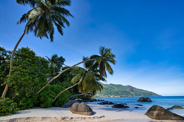 Mare anglaise beach, beautiful palm trees, white sands and clear water, Mahe Seychelles