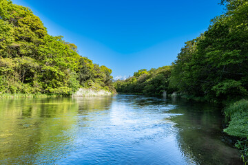静岡県の駿東郡清水町を流れる清流で有名な柿田川と富士山
