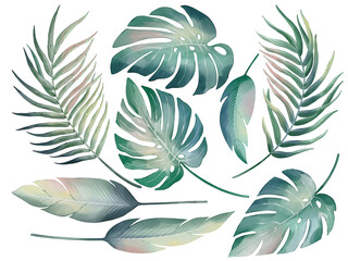 Tropical palm leaves in watercolor style isolated on white background. Hand-drawn watercolor floral illustration on transparent background can be used on a variety of surfaces