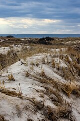 Scenic view of a beach with sand dunes and sparse grass next to the ocean on a cloudy day
