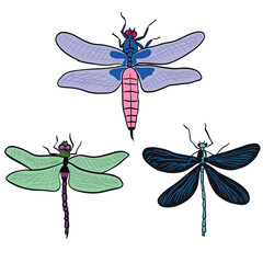  Sets of three dragon flys,good for graphic design resources.