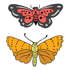 Sets of two beautiful butterfly and moth ,good for graphic design resources.