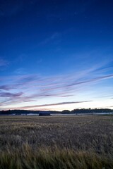 Tranquil night sky with a starlit sky illuminated above a sweeping grassy field