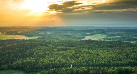 an aerial view of some trees in a field at sunset