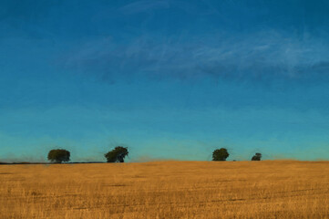 Fototapeta premium Digital painting of four trees on the horizon of a wheat field that has been cut.