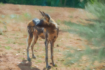 Digital painting of an African Painted Dog, alert and in profile