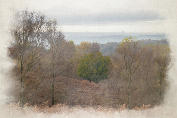 Fototapeta premium Digital watercolour painting of autumnal fall tree and leaf colours at the Downs Banks, Barlaston, Staffordshire.