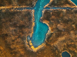 Aerial view of the vast expanse of wetlands, punctuated by clusters of vegetation