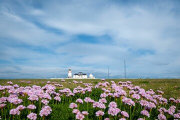 Still image of Hook Head lighthouse in bright cloudy day
