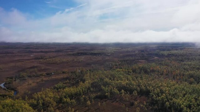 Aeria footage in the Siberian taiga, autumn. 4k.