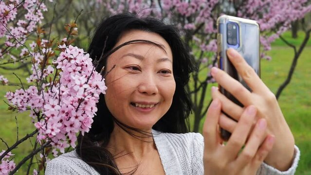 Slow Motion Asian Woman Taking Selfie Photo With Pink Sakura Blossoms On A Tree.