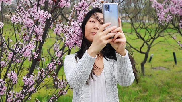 Slow Motion Asian Woman Taking Selfie Photo With Pink Sakura Blossoms On A Tree.