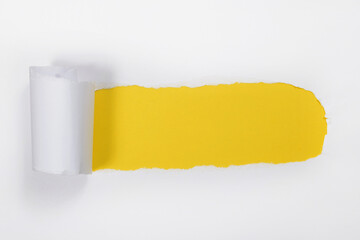 Ripped white paper with curled edges. Yellow color under the white paper