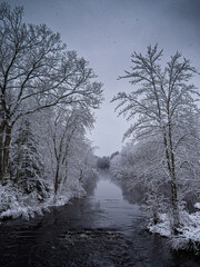 Obraz na płótnie Canvas river landscape with trees and snow