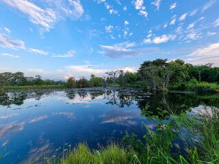 Lakes and Landscapes of Sri Lanka. View of the beautiful Rangirigama Lake in Sigiriya with the refection of the dreamy blue skies