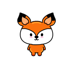 Fox cute