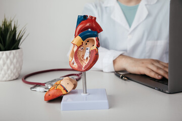 Anatomical model of the heart on the doctor's table with stethoscope