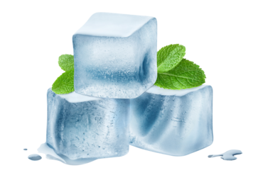 Three ice cubes with mint leaves, cut out