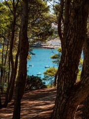 Panorama Isole Tremiti (Foggia, Italia)
