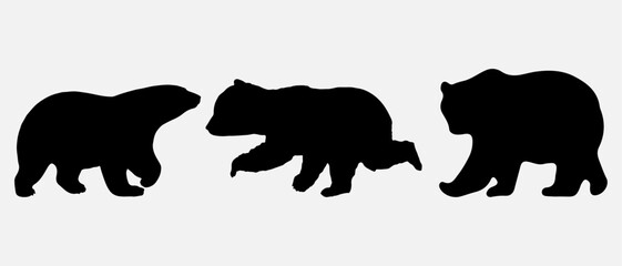 isolated black silhouette of a bear , vector collection