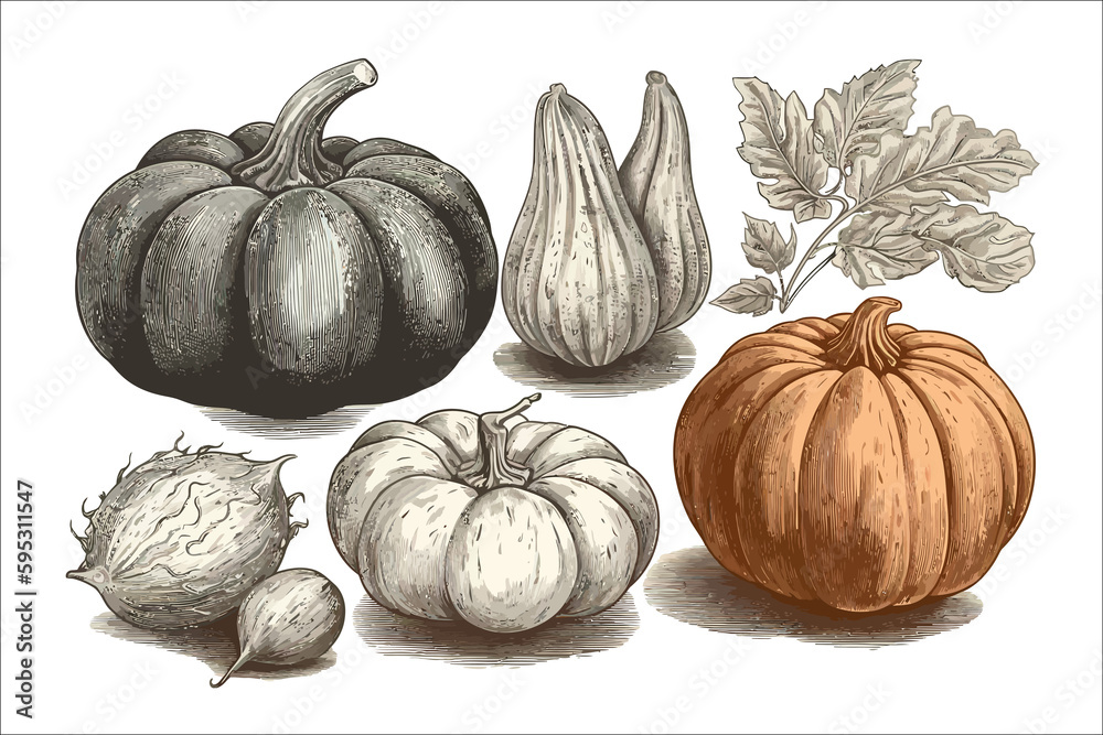 Poster squashes sketch. isolated on background. cartoon . generative ai