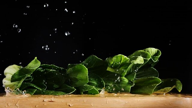 water drop falling on bok choy, fresh green vegetable, slow motion