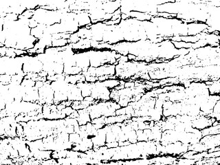 Obraz premium Abstract vector grunge surface texture background.