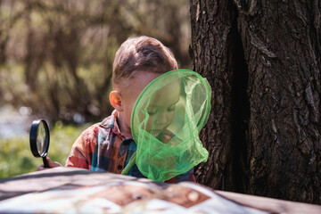 Little boy with butterfly net in forest kindergarten